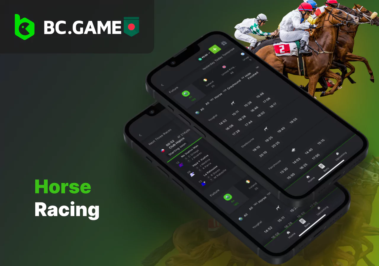 Betting on horse racing on the bookmaker's online platform